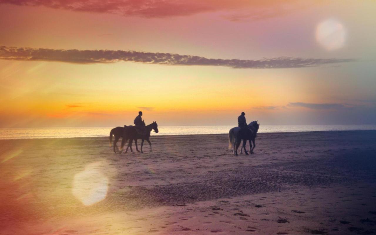 Blue Wave Lodge Agadir n'Ait Sa Dış mekan fotoğraf